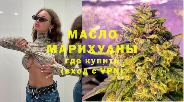 стаф Инта