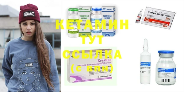 стаф Инта