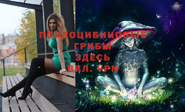 стаф Инта