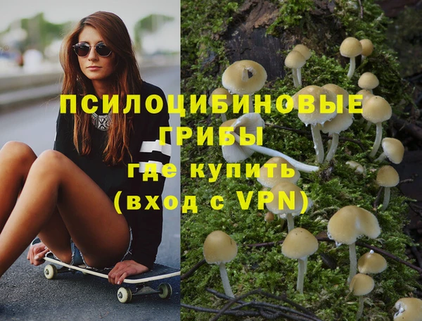 стаф Инта