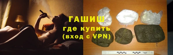 стаф Инта