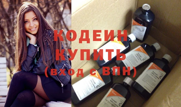 стаф Инта