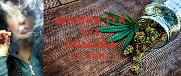 стаф Инта